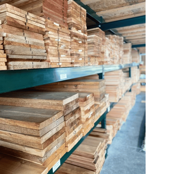 Punjab Timbers