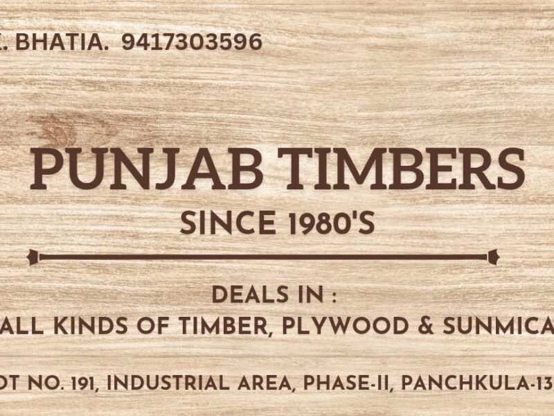 Punjab Timbers