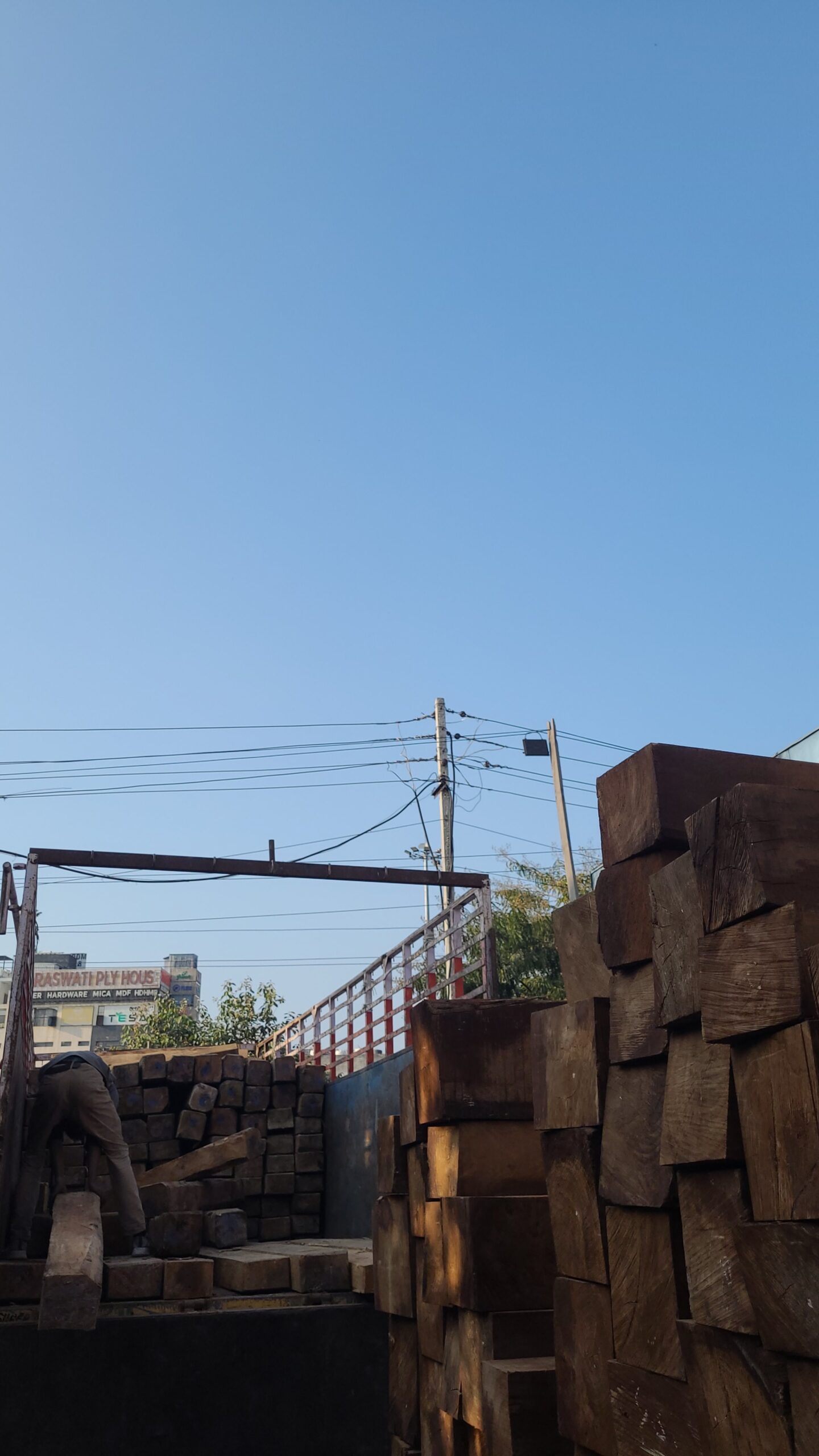 Punjab Timbers